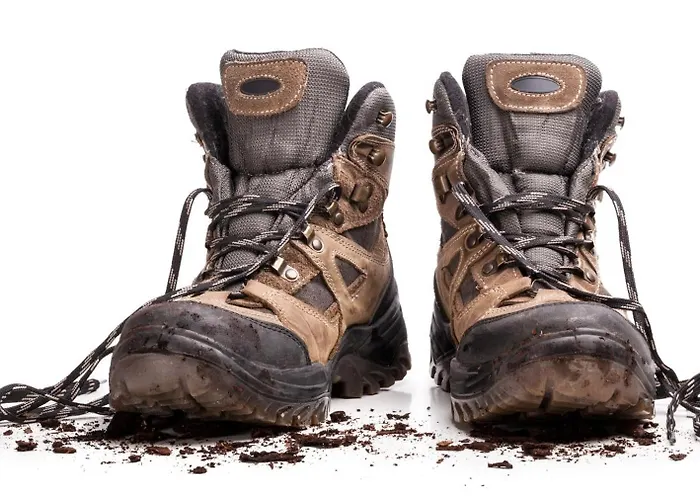 Hostel Koenigstein Hostel *